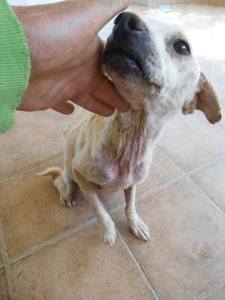 Carien when she first arrived in foster care